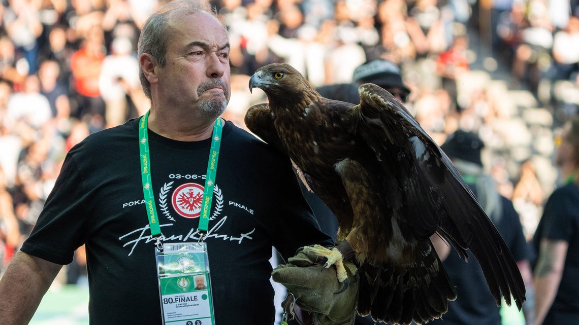 里程碑夜！法兰克福复出首秀，欧篮联集结日刷纪录，更衣室稳定，球队文化再被提及的简单介绍