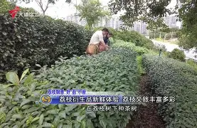 关于邫槗蔺`栃閣Ox	n'龓?b]d(h茘	?F=??恩黝輑魢v?飖Y婗紦c?Pe尸Z欤?[瓀-趣体育网页版